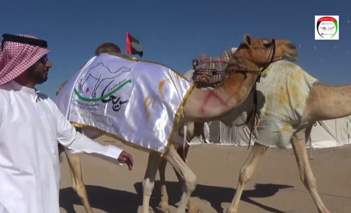 -قندهار-ملك-محمد-مبارك-بن-السكران-الراشدي