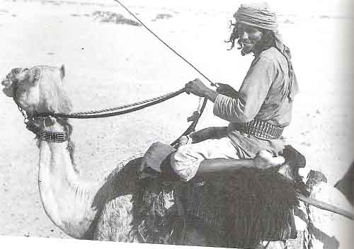 الدليل محمد العوف الراشدي