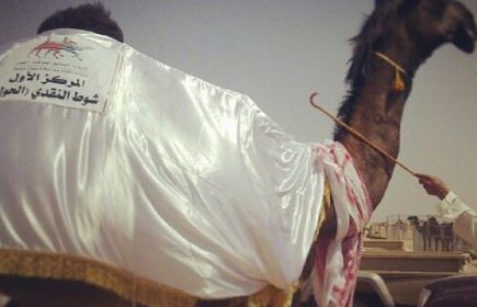 معيضه الحاصله على المركز الاول في مزينة ثمريت في شوط النقدي الحول ملك محمد خويتم بن سعيد الراشدي معيضه الحاصله على المركز الاول في مزينة ثمريت في شوط النقدي الحول ملك محمد خويتم بن سعيد الراشدي