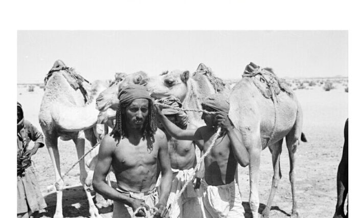 مجموعة من افراد قبيلة الراشد يسقون ابلهم من بئر ماء